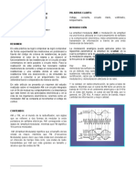 Informe IEEE Practica Modulación AM y FM