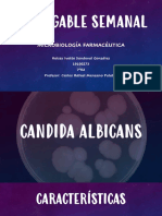 Candida Albicans Clostridium Sporogenes