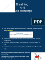 Breathing - and - Gas Exchange Igcse Biology