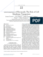 Bioavailability of Flavonoids The Role of Cell Membrane Transporters