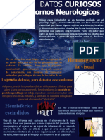 Datos Curiosos Neurologicos