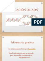 Replicacion Del ADN