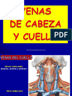 Venas de La Cabeza y Cuello