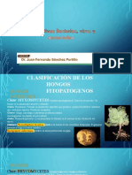 Virus Bacterias Nematodos Virus Curso2022 Compressed