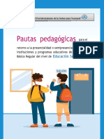 Pautas Pedagógicas para Secundaria