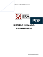 Direitos Humanos Fundamentos Apostila