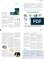 T. Obligatorio. Efectos de La Poda Neuronal en Adolescente