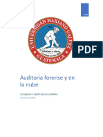 Auditoria Forense Informatica