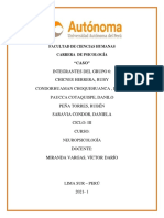 Modelo de Neuropsicología - Infome Del Caso - Final