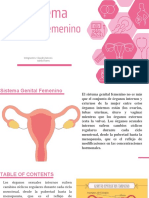 Sistema Genital Femenino