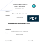 Tarea Requerimientos Nutricionales Ana Leonela Barahona