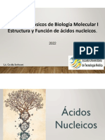 Estructura y Funcion de Acidos Nucleicos I