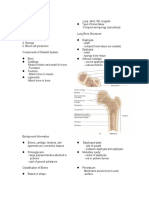 Skeletal System ANAPHY Notes 5