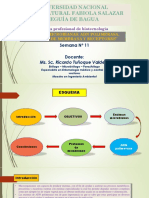 Enzimas Microbianas ADN POL