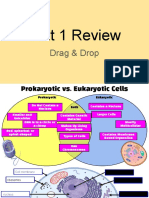 (Chenoa L) Unit 1 Review Drop & Drag