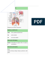 Aparato Respiratorio