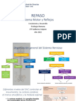 CyD - REPASO - Sistema Motor y Reflejos - GGrigioni 2022