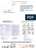 Defensa Inmune Contra Las Infecciones Bacterianas y Virales