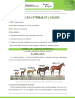 Ciencias Naturales y Salud 2do. Curso Plan Común