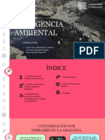 Practica 3 Medio Ambiente y Ecologia