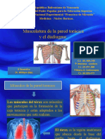 Diapositivas Morfo I 2.0.0