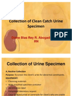 Collection of Clean Catch Urine Specimen