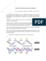 Taller Nucleotidos