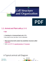 9IP - Biology Ch1