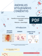 Anomalias Genitourinárias Congênitas