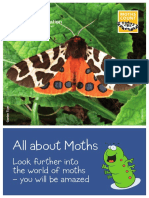 All About Moths: Look Further Into The World of Moths - You Will Be Amazed