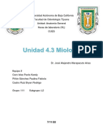 Equipo 5. Musculos Del Miembro Superior Pared Abdominal y Miembro Inferior