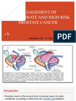 CA Prostate by Dr. Musaib Mushtaq