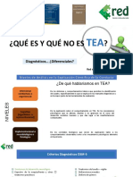 B. 2017 Qué Es y Que No Es TEA (Diagnosticos Diferenciales) Edel López 2017