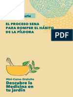 MINI-CURSO Manual1