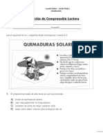 Evaluacion de Comprensión Lectora