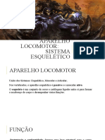 Aparelho Locomotor: Sistema Esquelético: Prof. Enf. Jórdan Jesus 2019