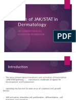 Jak Stat Inhibitors