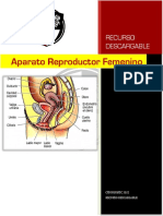 PDF Sistema Reproductor Femenino