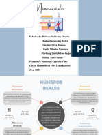 Números Reales - Matematica (Sesión 1)