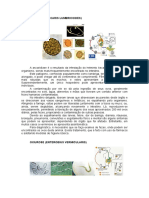 POP ParasitoCorrigido