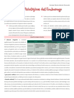 Cambios Fisiologicos Del Embarazo