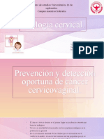 Citologia Cervical