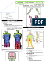 1.5 Dermatomes