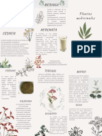 Plantas Medicinales