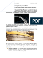 Actividad 1.4 Pérdidas Primarias y Secundarias