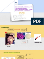 Grupo 4 - TOSFERINA-BORDETELLA PERTUSSIS