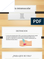 Vía Intramuscular