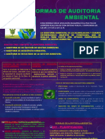 Normas de Auditoria Ambiental