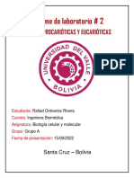 Informe de Laboratorio Biologia #2