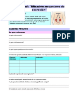 Filtración Mecanismo de Excreción 2do